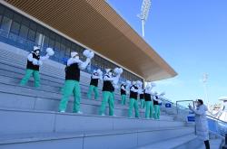 爱游戏app下载日本队带队取胜！，Karsa重要时刻领先优势明显赛场气氛高涨的简单介绍